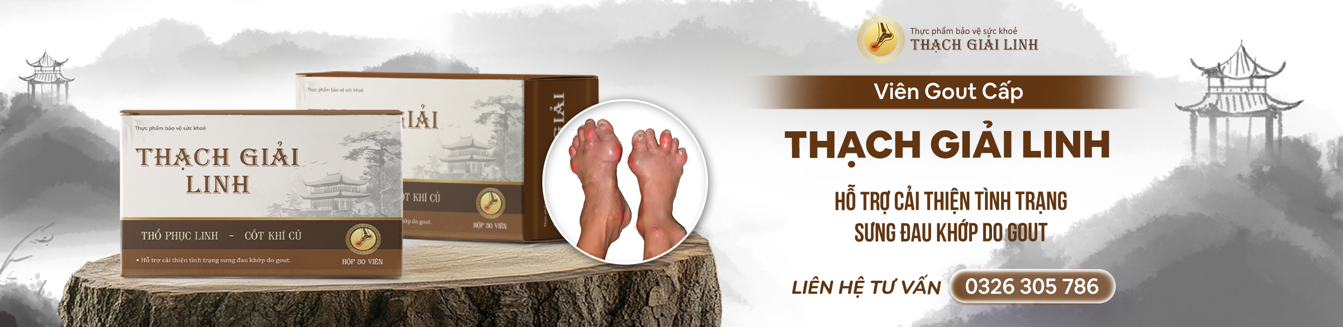 Viên gout cấp Thạch Giải hỗ trợ hiệu quả trong hỗ trợ điều trị bệnh gout